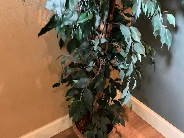 Kunstplant in pot - afbeelding 4 van  5