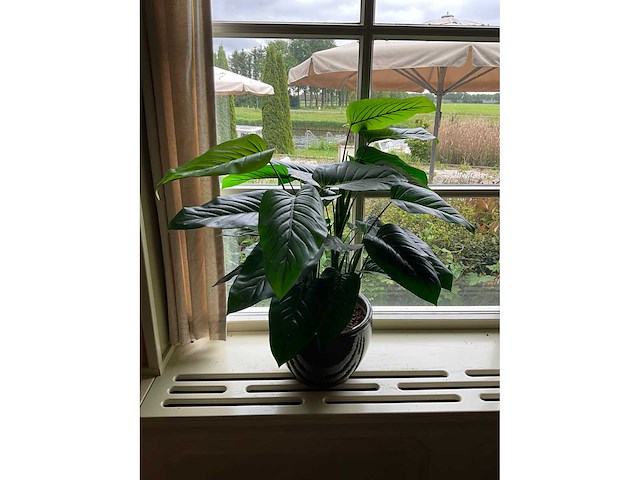 Kunstplant in pot - afbeelding 2 van  5