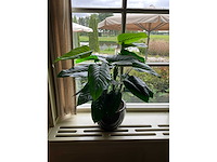 Kunstplant in pot - afbeelding 2 van  5