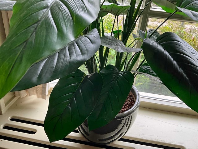 Kunstplant in pot - afbeelding 4 van  5