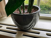 Kunstplant in pot - afbeelding 5 van  5