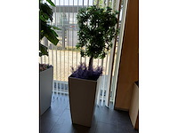 Kunstplant in pot - afbeelding 2 van  4