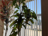 Kunstplant in pot - afbeelding 3 van  4