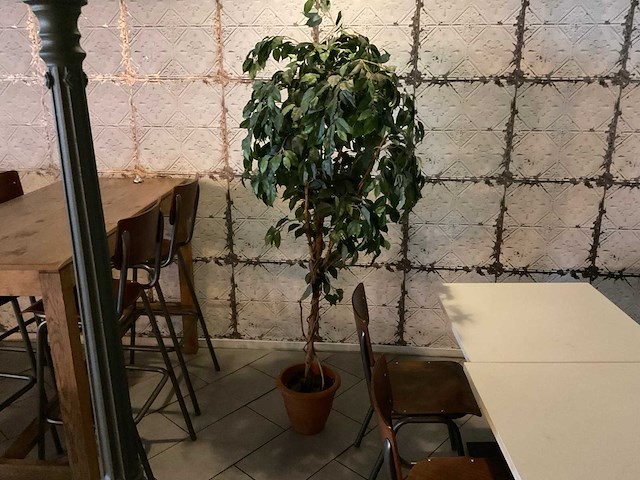 Kunstplant in pot - afbeelding 1 van  1