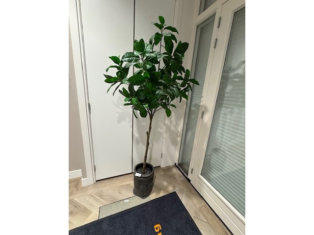 Kunstplant in pot - afbeelding 1 van  3