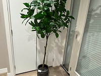 Kunstplant in pot - afbeelding 1 van  3