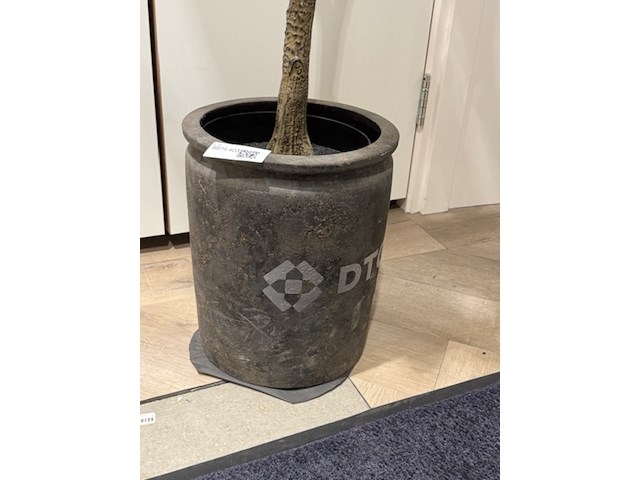 Kunstplant in pot - afbeelding 2 van  3