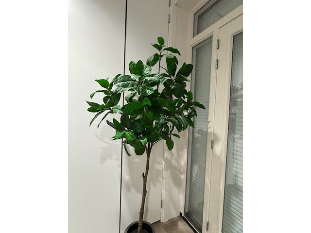 Kunstplant in pot - afbeelding 3 van  3