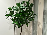 Kunstplant in pot - afbeelding 3 van  3