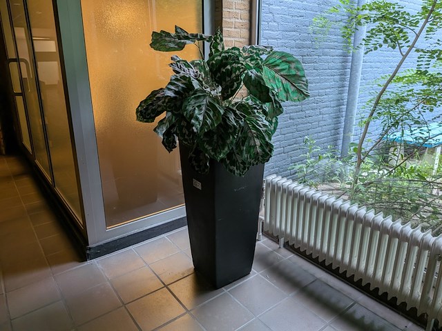 Kunstplant in pot - afbeelding 1 van  7