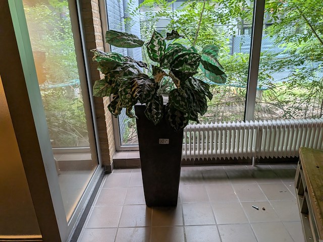 Kunstplant in pot - afbeelding 2 van  7