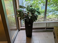 Kunstplant in pot - afbeelding 2 van  7