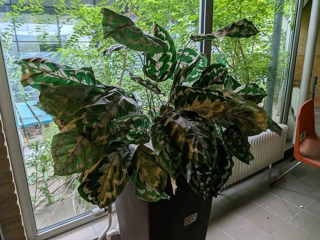Kunstplant in pot - afbeelding 3 van  7