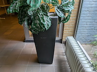Kunstplant in pot - afbeelding 6 van  7