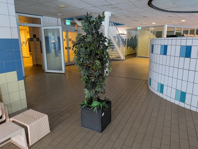 Kunstplant in pot - afbeelding 1 van  5