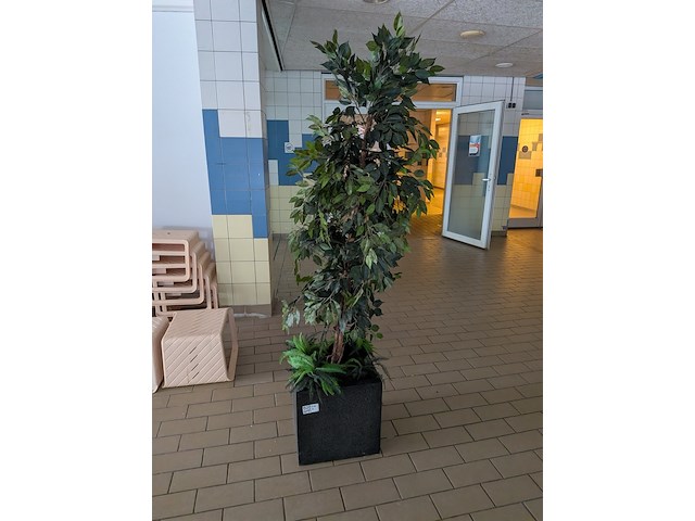 Kunstplant in pot - afbeelding 2 van  5