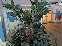 Kunstplant in pot - afbeelding 4 van  5