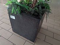 Kunstplant in pot - afbeelding 5 van  5