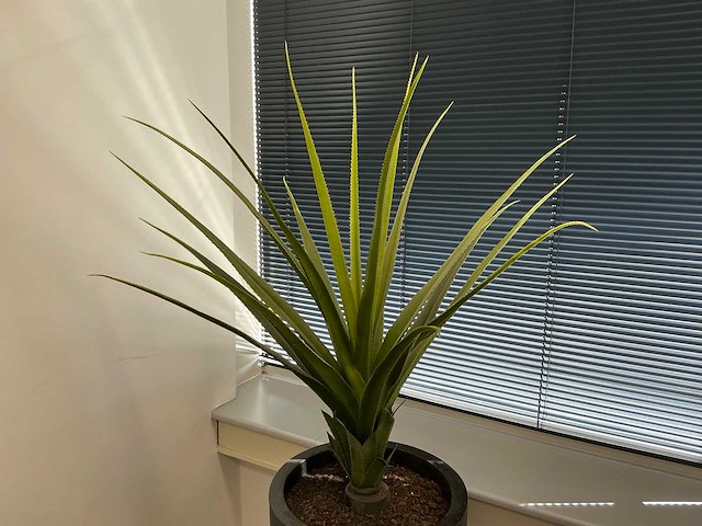 Kunstplant in pot - afbeelding 3 van  5