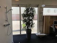 Kunstplant in pot - afbeelding 1 van  8