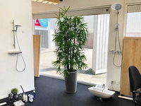 Kunstplant in pot - afbeelding 2 van  8