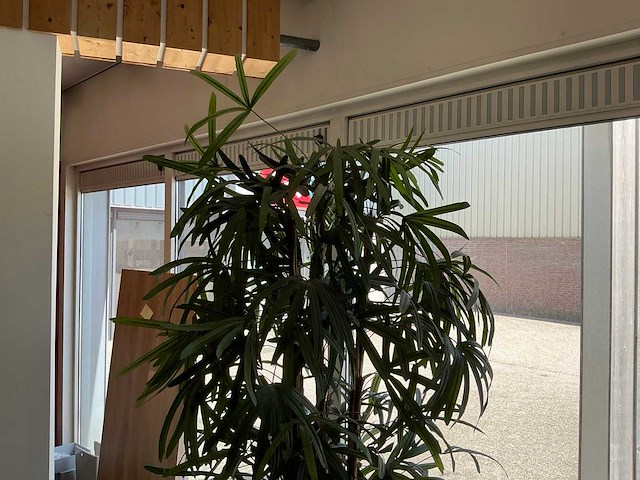 Kunstplant in pot - afbeelding 5 van  8