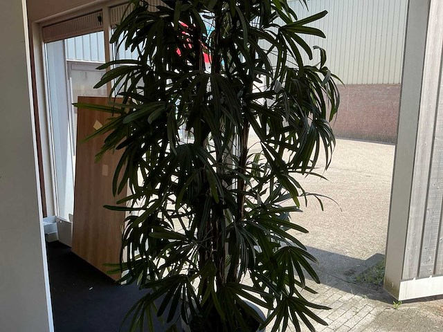 Kunstplant in pot - afbeelding 6 van  8
