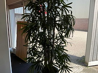 Kunstplant in pot - afbeelding 6 van  8