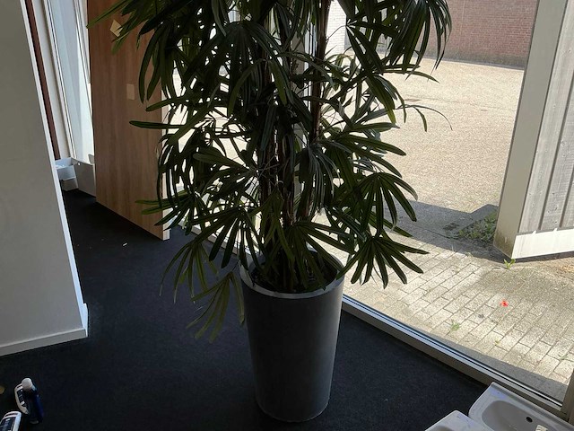 Kunstplant in pot - afbeelding 7 van  8