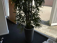 Kunstplant in pot - afbeelding 7 van  8