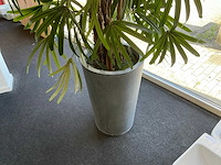Kunstplant in pot - afbeelding 8 van  8