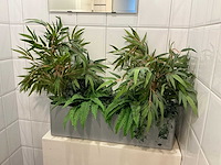 Kunstplant in pot - afbeelding 1 van  3