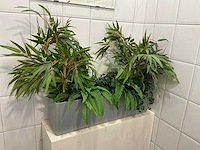 Kunstplant in pot - afbeelding 2 van  3