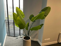 Kunstplant in pot - afbeelding 2 van  5