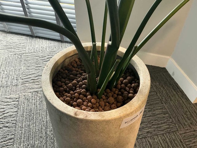 Kunstplant in pot - afbeelding 5 van  5