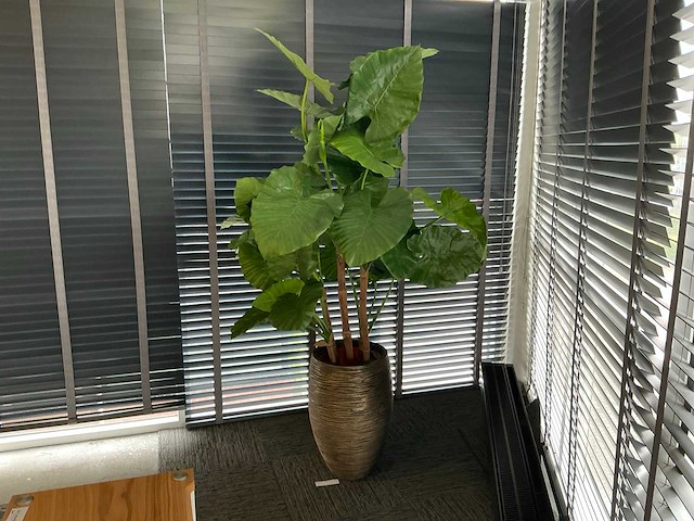 Kunstplant in pot - afbeelding 2 van  5