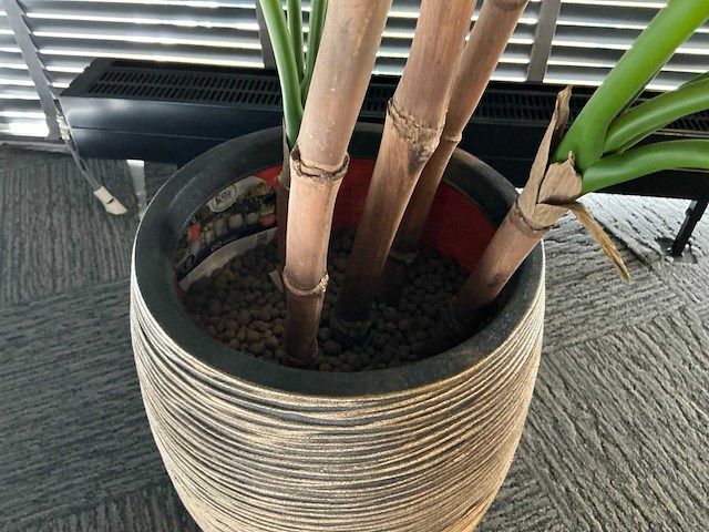 Kunstplant in pot - afbeelding 5 van  5
