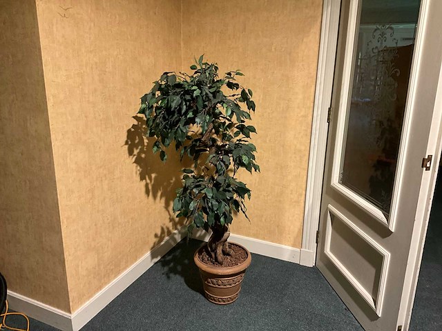 Kunstplant in pot - afbeelding 1 van  4