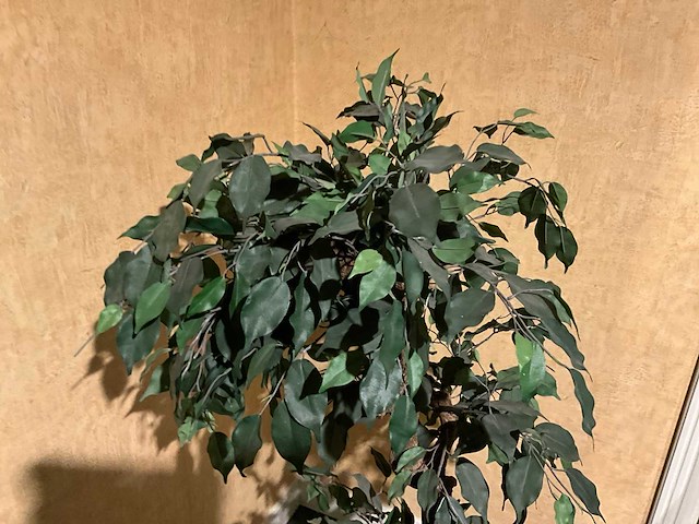 Kunstplant in pot - afbeelding 3 van  4