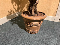 Kunstplant in pot - afbeelding 4 van  4