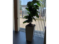 Kunstplant in pot - afbeelding 2 van  4