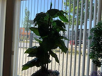 Kunstplant in pot - afbeelding 4 van  4