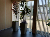 Kunstplant in pot - afbeelding 1 van  4