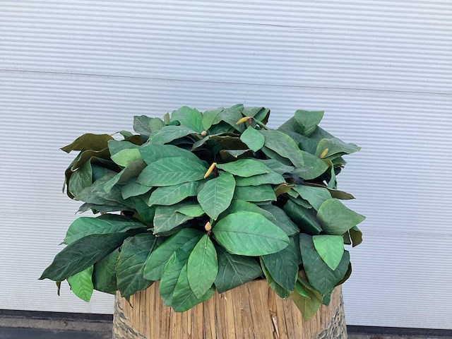 Kunstplant in rattan mand - afbeelding 2 van  3