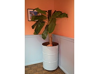 Kunstplant in verrijdbare drum (2x) - afbeelding 5 van  8