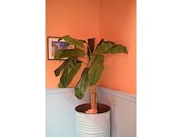 Kunstplant in verrijdbare drum (2x) - afbeelding 2 van  8