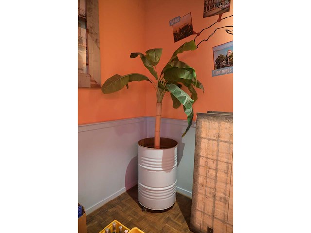 Kunstplant in verrijdbare drum (2x) - afbeelding 8 van  8