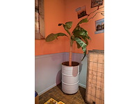 Kunstplant in verrijdbare drum (2x) - afbeelding 8 van  8