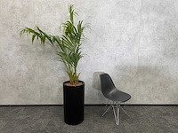 Kunstplant met aardewerk sierpot h200 - afbeelding 1 van  7