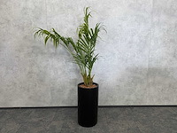 Kunstplant met aardewerk sierpot h200 - afbeelding 3 van  7